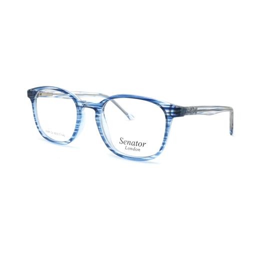 Hilton Eyewear Senator 621